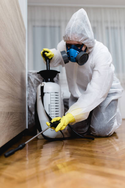 Best Fumigation Services  in St Stephens, NC